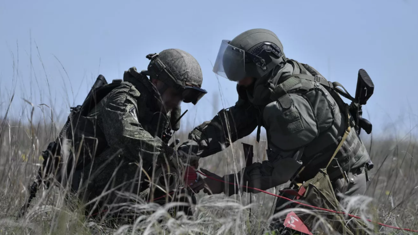 МИД России рассказал об условиях начала работы сапёров из КНДР в Курской области