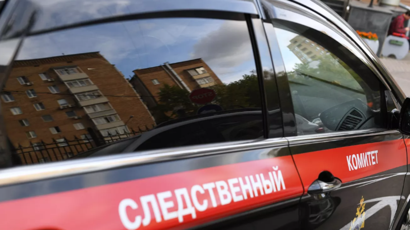 В Петербурге проводят проверку после гибели пассажира на станции метро «Озерки»