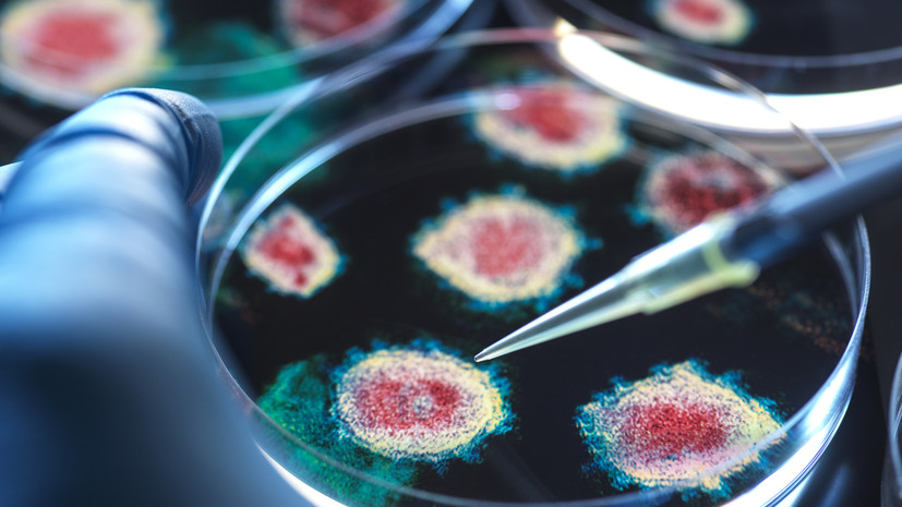 Учёные Сингапура: респираторно-синцитиальный вирус может быть схож с COVID-19