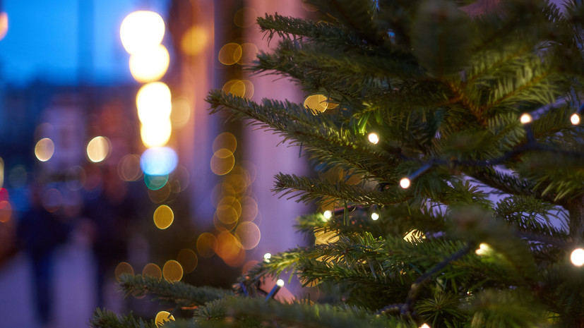 Общественник Бондарь: за украшение подъездов на Новый год может грозить штраф