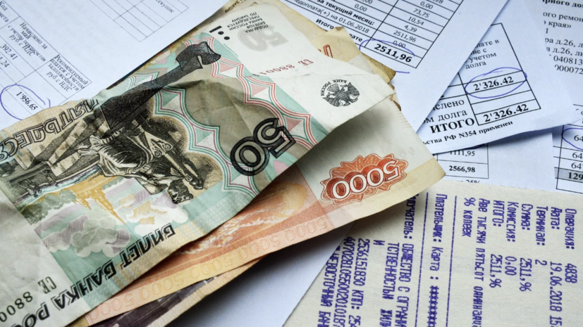 Депутат ГД Разворотнева: собственника могут выселить из жилья за долги за ЖКУ
