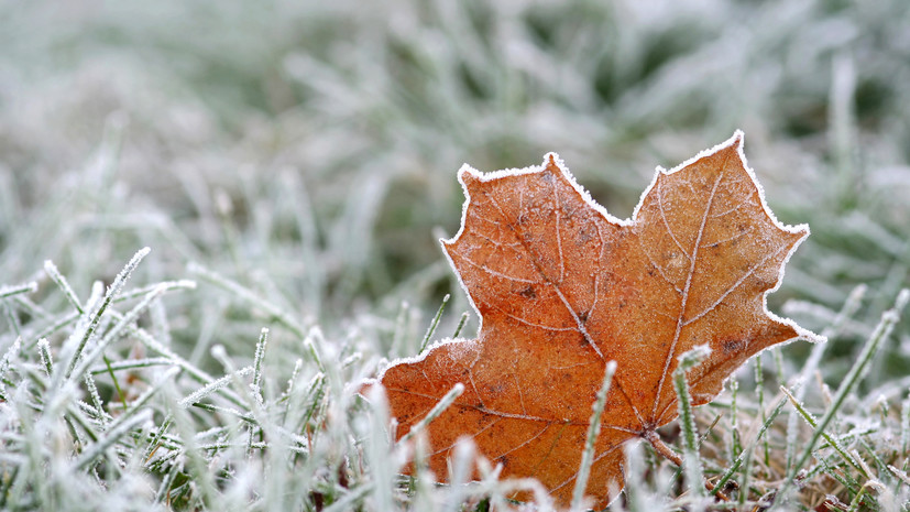 Синоптик Шувалов: трудно ожидать каких-то заморозков в ночные часы