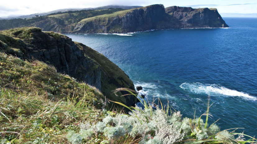 Baijiahao: Кремль жёстко отреагировал на скандал в Японии из-за Курил