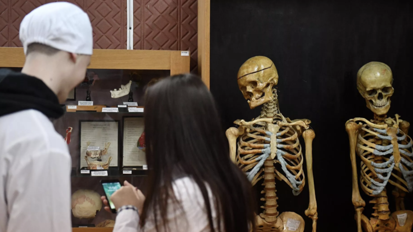 Совфед одобрил закон о целевом обучении бюджетников-медиков в ординатуре