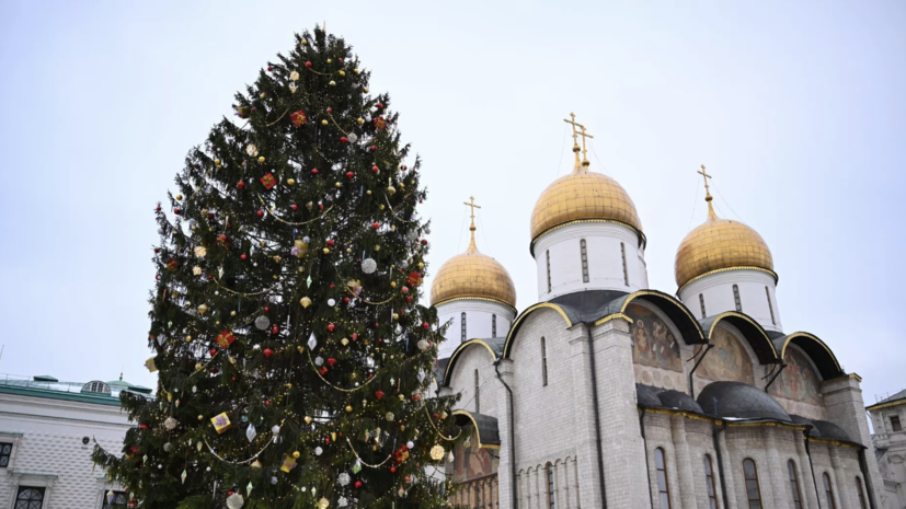 Главную новогоднюю ёлку России нашли в Рузском округе Подмосковья