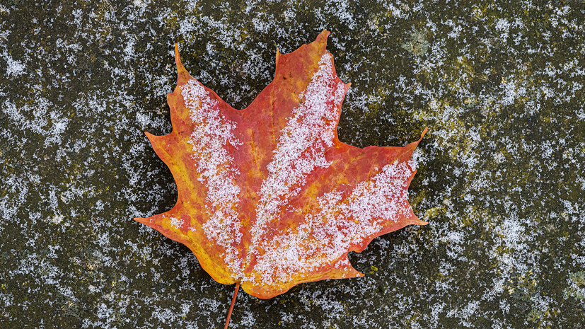 Вильфанд спрогнозировал выпадение первого снега в Москве в эти выходные
