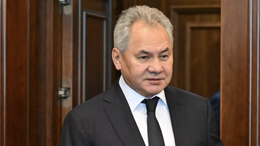 Шойгу: Россия десятилетиями выступала за пространство безопасности в Европе
