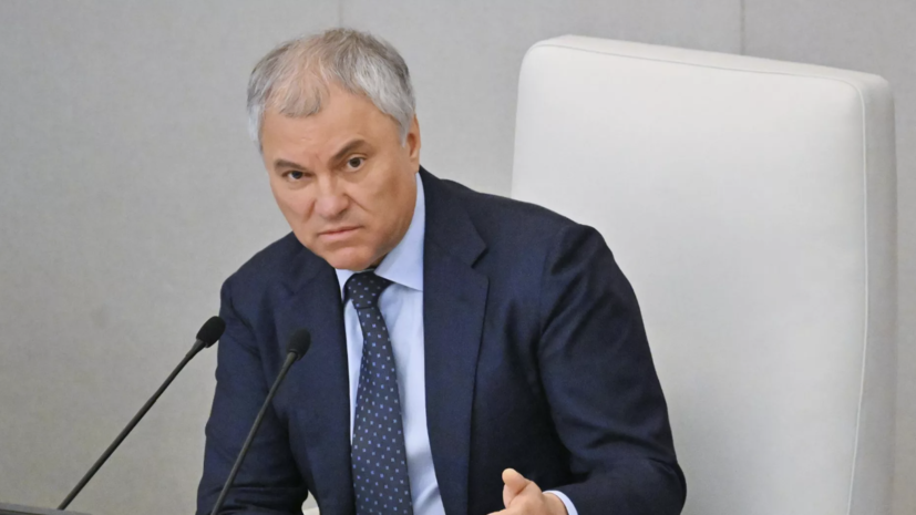 Володин: Россия признаёт водительские права стран с официальным русским языком