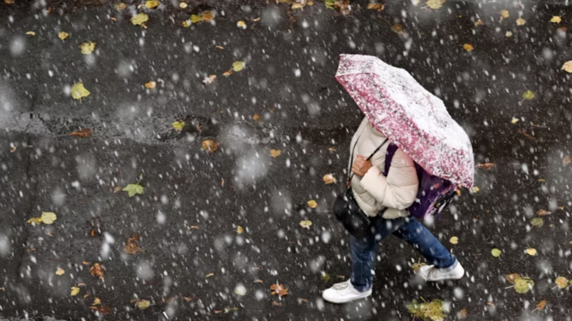 Синоптик Вильфанд: первый снег в Москве ожидается 15 ноября