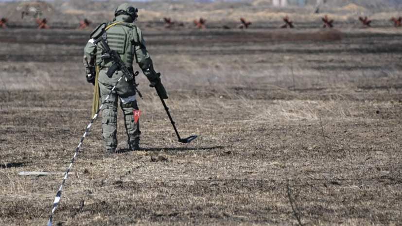 Российские военные выучили команды на корейском для общения с сапёрами КНДР