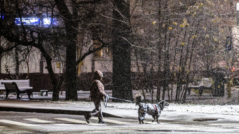 Уровень погодной опасности в Московской области повысили до «оранжевого»