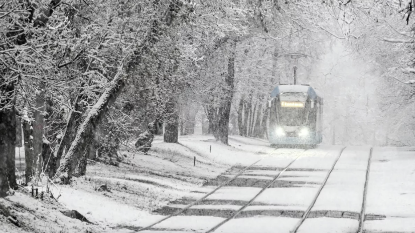 Синоптик Ильин: 24 ноября Москву может накрыть мощный снежный циклон