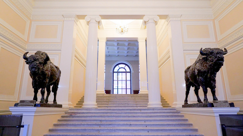 В Петербурге обновили гипсовые статуи зубров в доме Пашкова