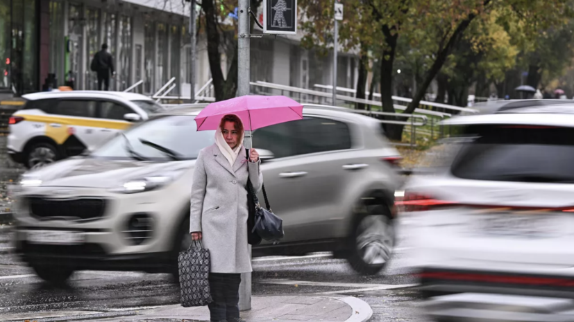 Метеоролог Шувалов: на этой неделе снега в Москве не прогнозируется