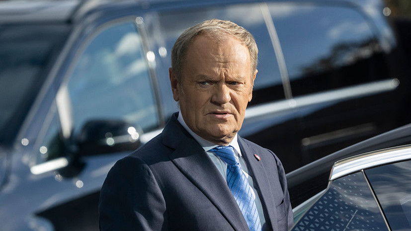 Колесник посоветовал Туску пить успокоительное