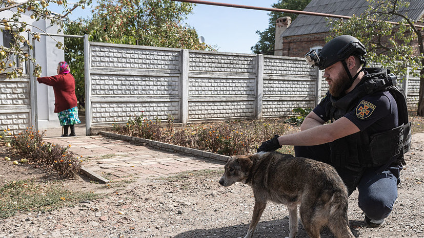 На Украине предложили мобилизовать мужчин, имеющих служебных собак
