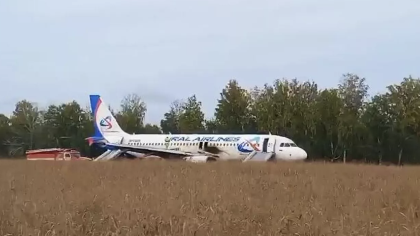 Суд Омска вернул прокурору дело пилота, посадившего самолёт в поле