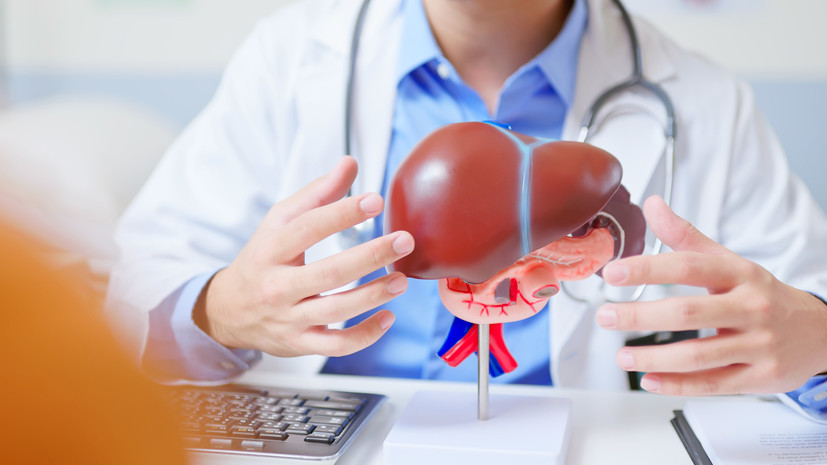 Гепатолог Вялов назвал главные привычки, которые разрушают печень