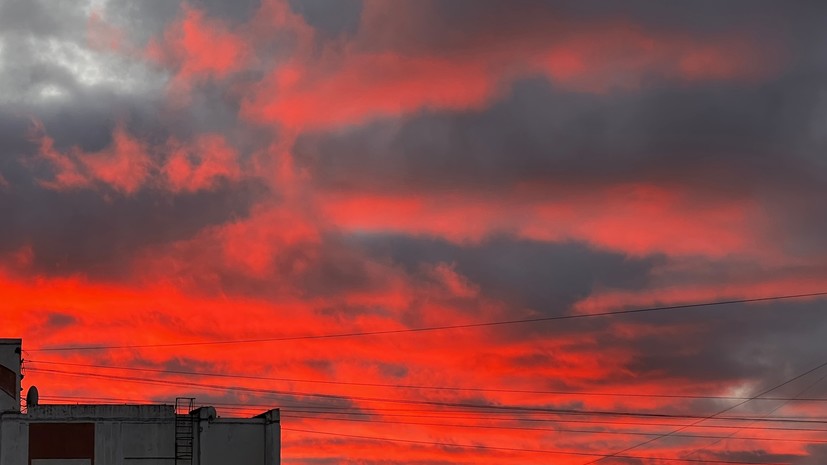 Синоптик Позднякова рассказала о причинах красного рассвета в Москве 19 ноября