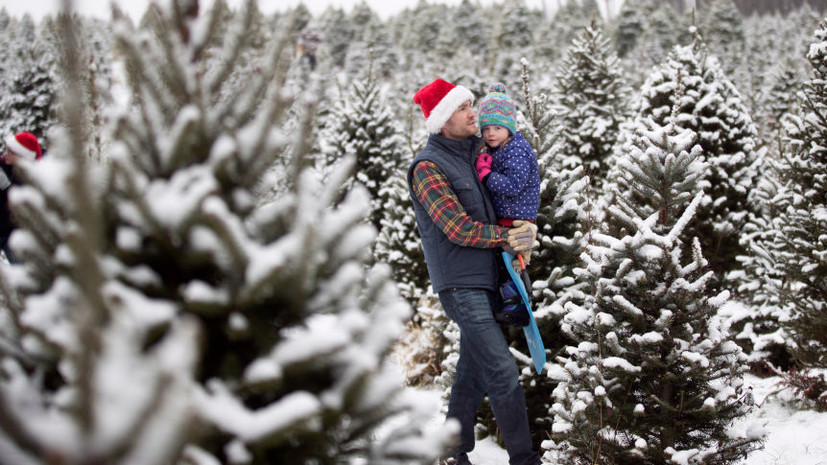 Доцент Черных объяснила популярность ёлок-половинок