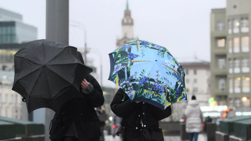 Синоптик Позднякова: в Москве и области ожидаются осадки на выходных