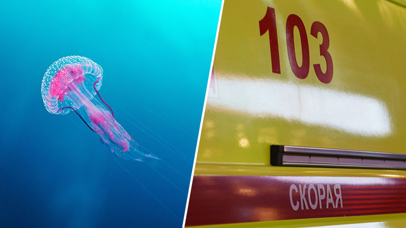 «Мы молились день и ночь»: бабушка погибшего от отравления ядом медузы в Малайзии мальчика рассказала о трагедии «Мы молились день и ночь»: бабушка погибшего от отравления ядом медузы в Малайзии мальчика рассказала о трагедии