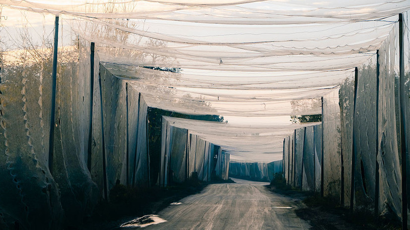 Противодроновые сети ВСУ на Сумском направлении обрушились из-за осадков