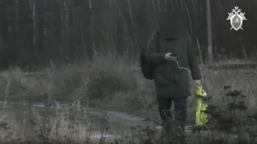 Опубликовано видео задержания пытавшегося поджечь храм в Калининграде