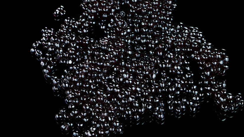 Mash: в Россию завезли сотни килограммов поддельной чёрной икры