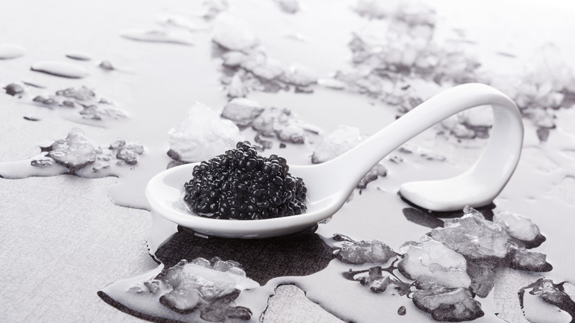 Диетолог Соломатина: угольно-чёрной икры не бывает