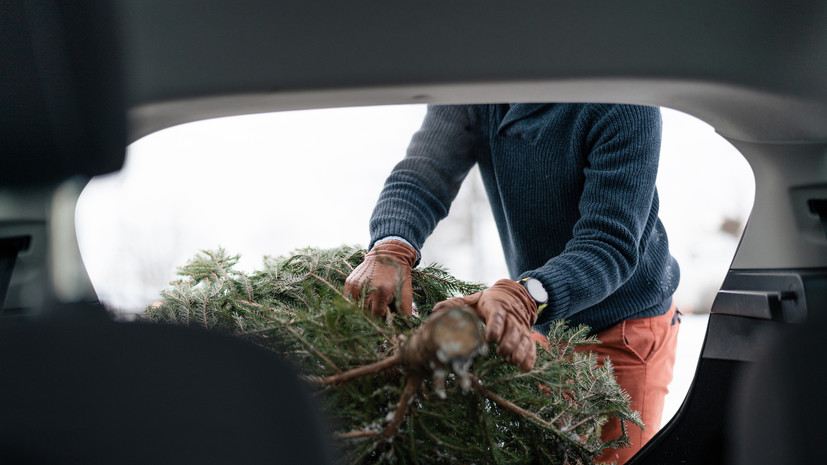 Автоэксперт Ладушкин пояснил, как перевозить ёлку в машине