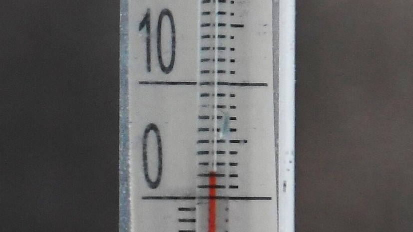 Синоптик Вильфанд пообещал солнечные выходные в Москве