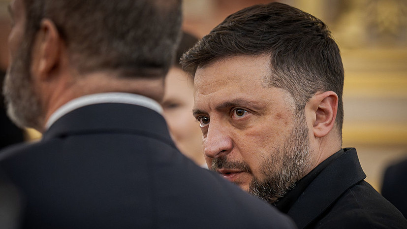 Сенатор Никонорова допустила отстранение Зеленского от власти его кураторами