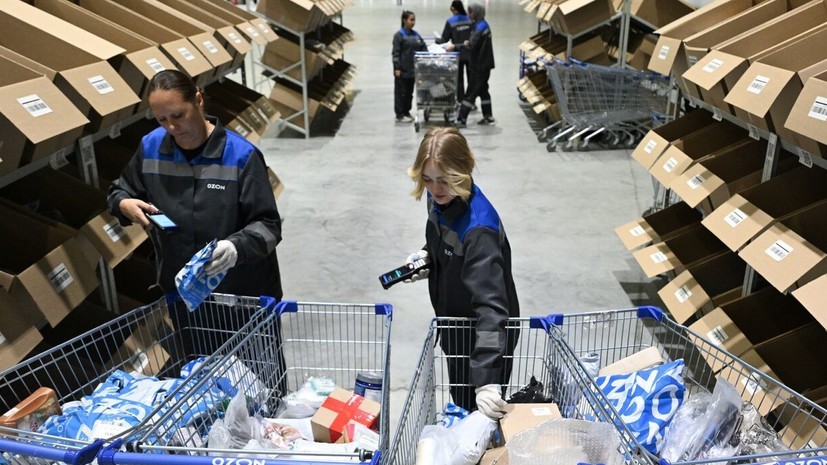 От продуктов и одежды до электроники и техники: почему россияне стали на треть чаще покупать товары в интернете