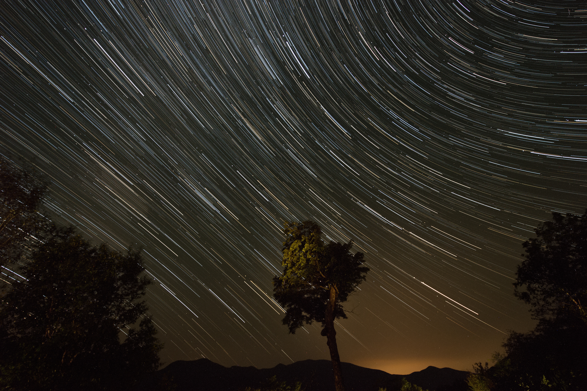 «Событие исключительной редкости»: учёные оценили метеорит, найденный под Новгородом