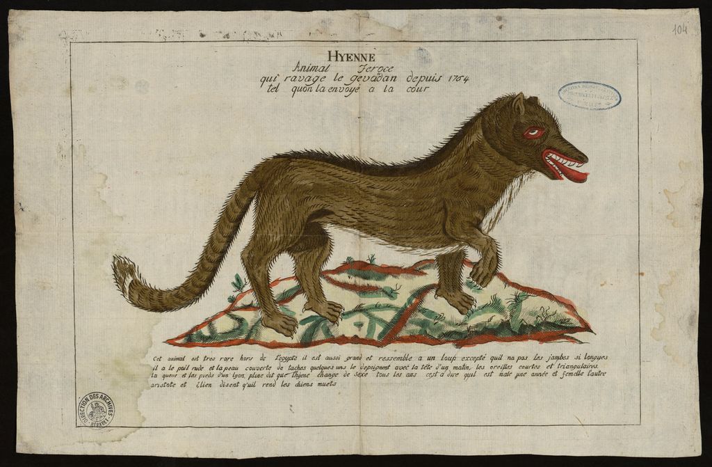 Жеводановский зверь: что за животное, погибшие, факты