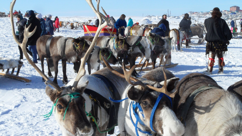 На Ямале рассказали о мероприятиях по сохранению языков КМНС