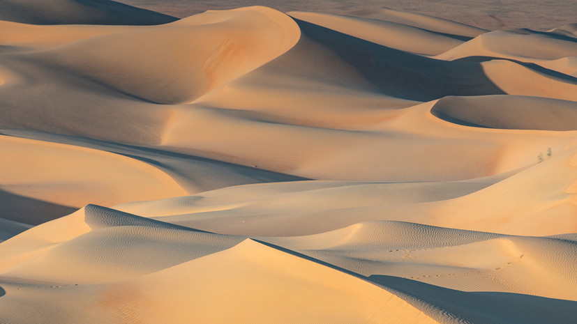 RT: тела убитых в ОАЭ Романа Новака и его жены нашли в пустыне