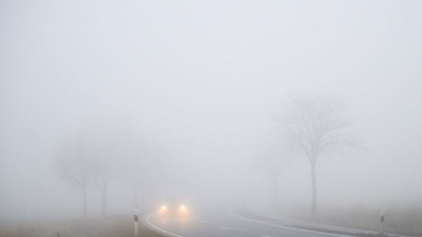 Автоюрист Славнов напомнил, как безопасно ездить в туман