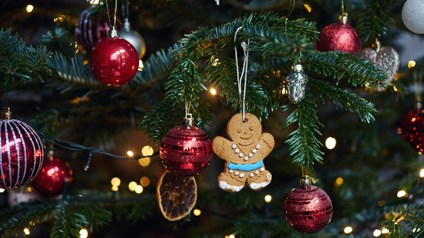 Аллерголог Пятикова: перед установкой искусственную ёлку нужно помыть