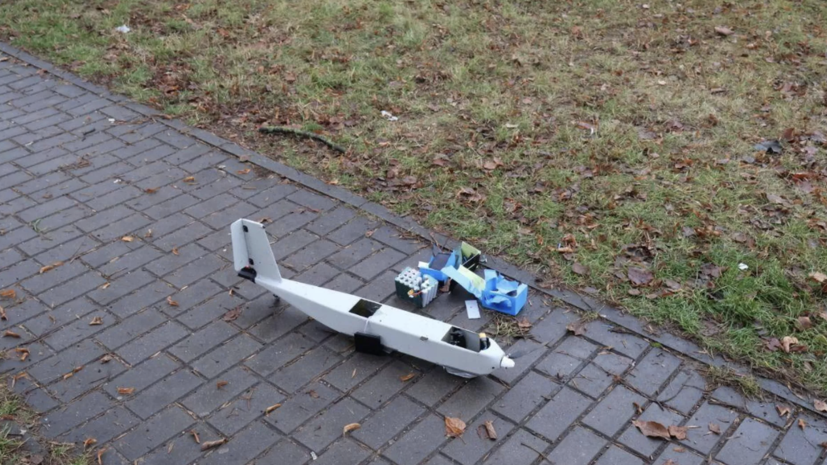 Эйсмонт назвала действия Литвы «очередными глупостями» после инцидента с дроном