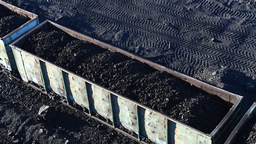 В Амурской области пресекли нелегальную добычу бурого угля