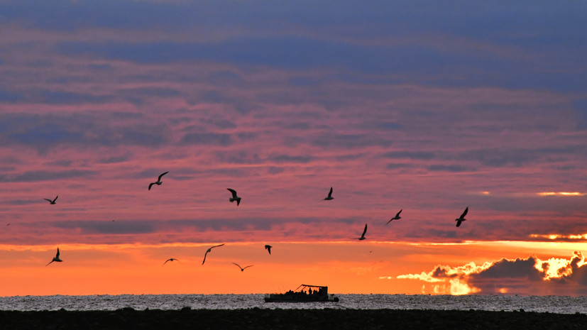 Управление мореходства Турции: российский танкер подвергся атаке в Чёрном море