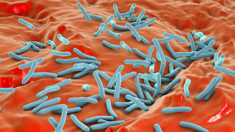 Врач Чечулина предупредила, кто находится в группе риска развития туберкулёза