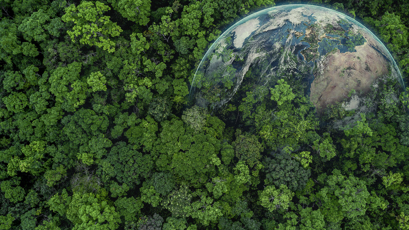 Объявлены лауреаты Зелёной премии — 2025