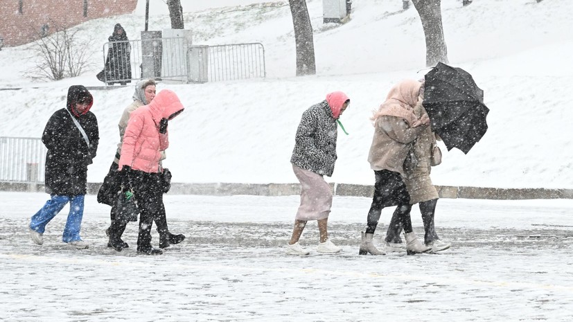 Учёный Карнаухов рассказал о связи Эль-Ниньо с вероятностью осадков зимой