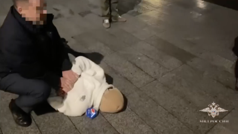 В Москве задержали курьеров за организацию незаконной миграции 1000 нелегалов