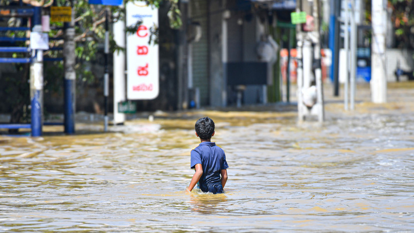 МИД сообщил, что Россия рассматривает запрос Шри-Ланки о гуманитарной помощи