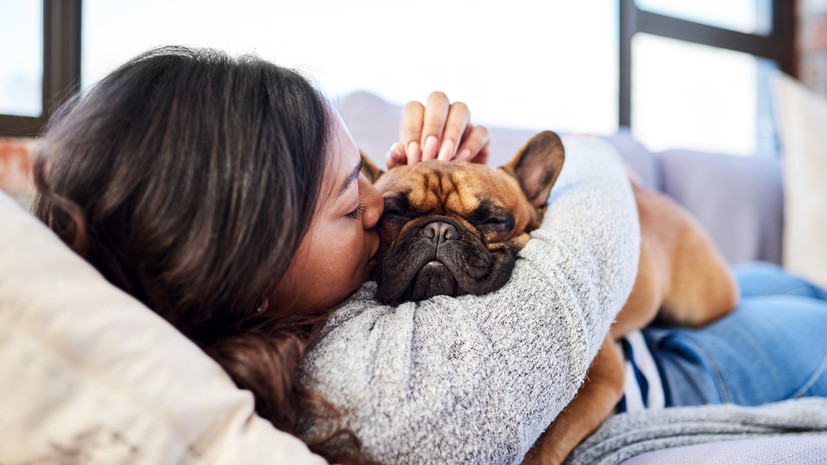 Ветеринар Онуфриенко: домашняя среда влияет на поведение собаки