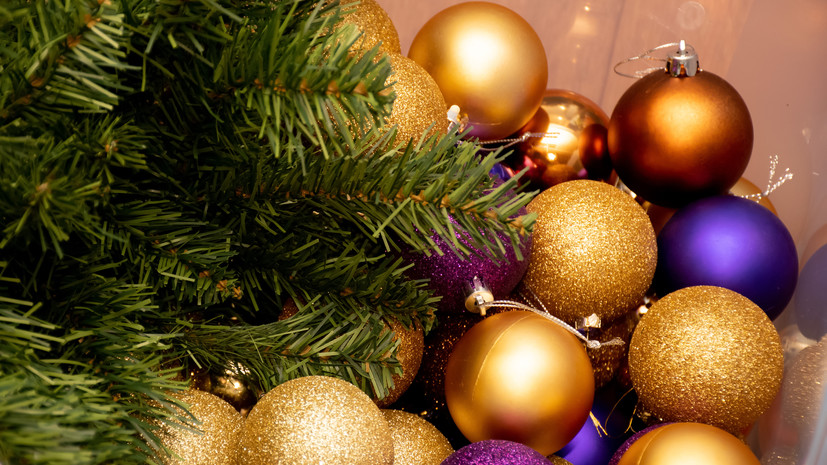 Ветеринар Шеляков: шарики на ёлке должны быть пластиковые